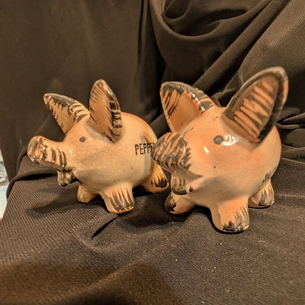 Ceramic pig-shaped salt and pepper shakers marked 'SALT' and 'PEPPER'